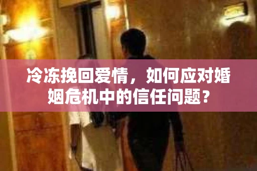 冷冻挽回爱情，如何应对婚姻危机中的信任问题？