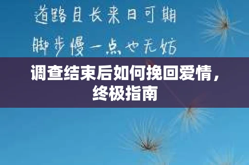 调查结束后如何挽回爱情，终极指南