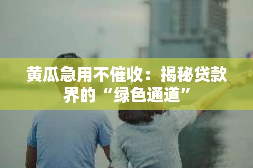 黄瓜急用不催收：揭秘贷款界的“绿色通道”