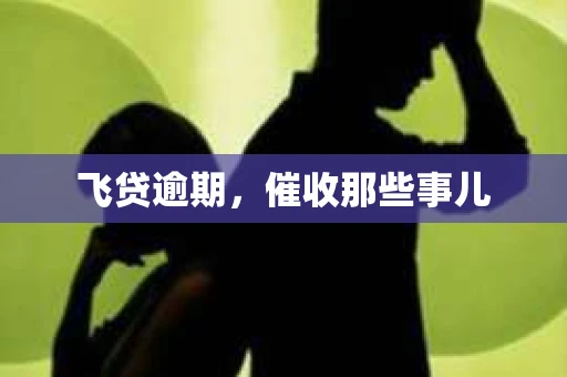 飞贷逾期，催收那些事儿