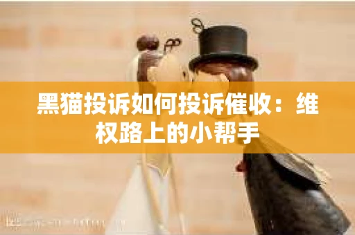 黑猫投诉如何投诉催收：维权路上的小帮手