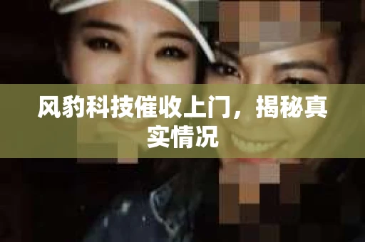风豹科技催收上门，揭秘真实情况
