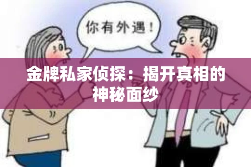 金牌私家侦探：揭开真相的神秘面纱