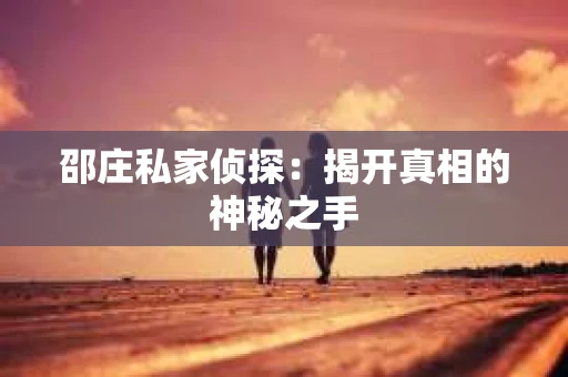 邵庄私家侦探：揭开真相的神秘之手