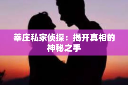 莘庄私家侦探：揭开真相的神秘之手