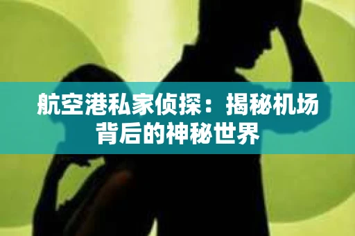 航空港私家侦探：揭秘机场背后的神秘世界