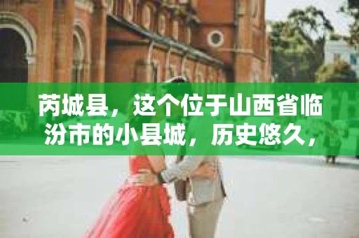 芮城县，这个位于山西省临汾市的小县城，历史悠久，风景秀丽。然而，随着社会的发展，人们的生活节奏加快，一些问题也随之而来。这时候，私家侦探这个职业应运而生。那么，芮城县有私家侦探吗？他们是如何工作的？今天，我们就来聊聊这个话题。