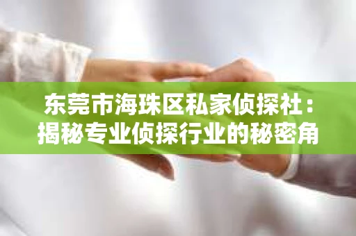 东莞市海珠区私家侦探社：揭秘专业侦探行业的秘密角落