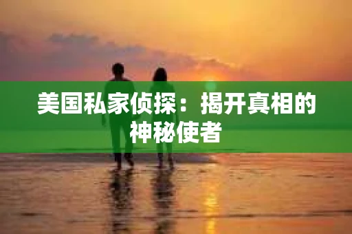 美国私家侦探：揭开真相的神秘使者