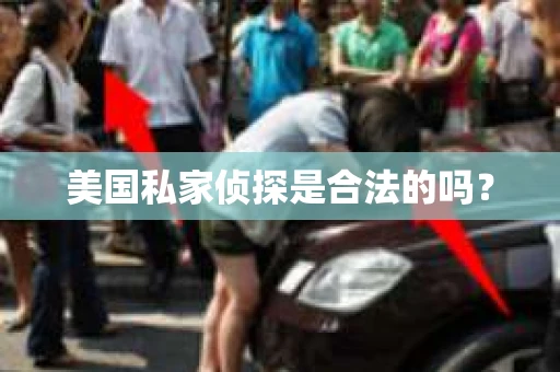 美国私家侦探是合法的吗? 美国私家侦探是合法的吗?