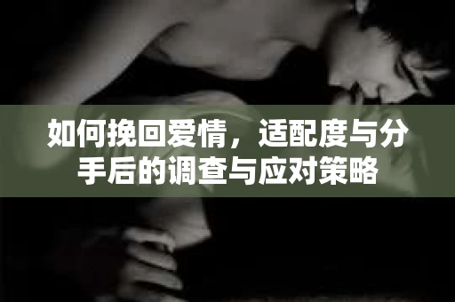 如何挽回爱情，适配度与分手后的调查与应对策略